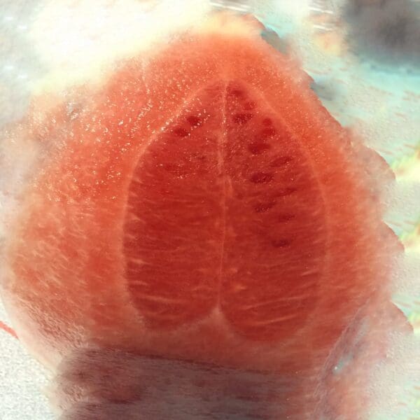 A close up of the inside of an orange.