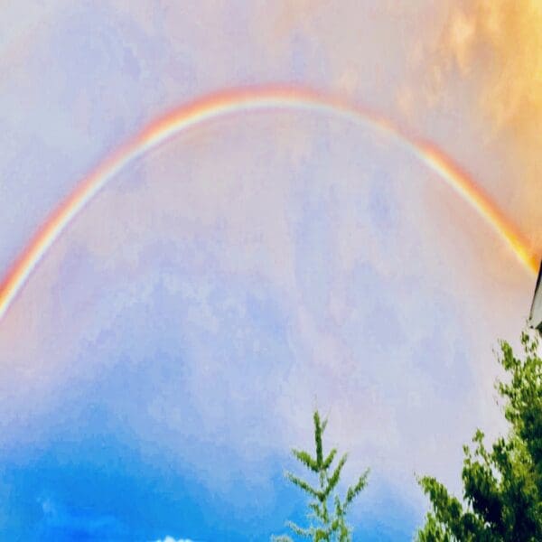 A rainbow is seen in the sky over trees.