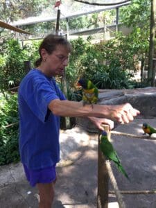 A man feeding parrots in the zoo.