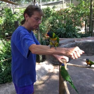 A man feeding parrots in the zoo.
